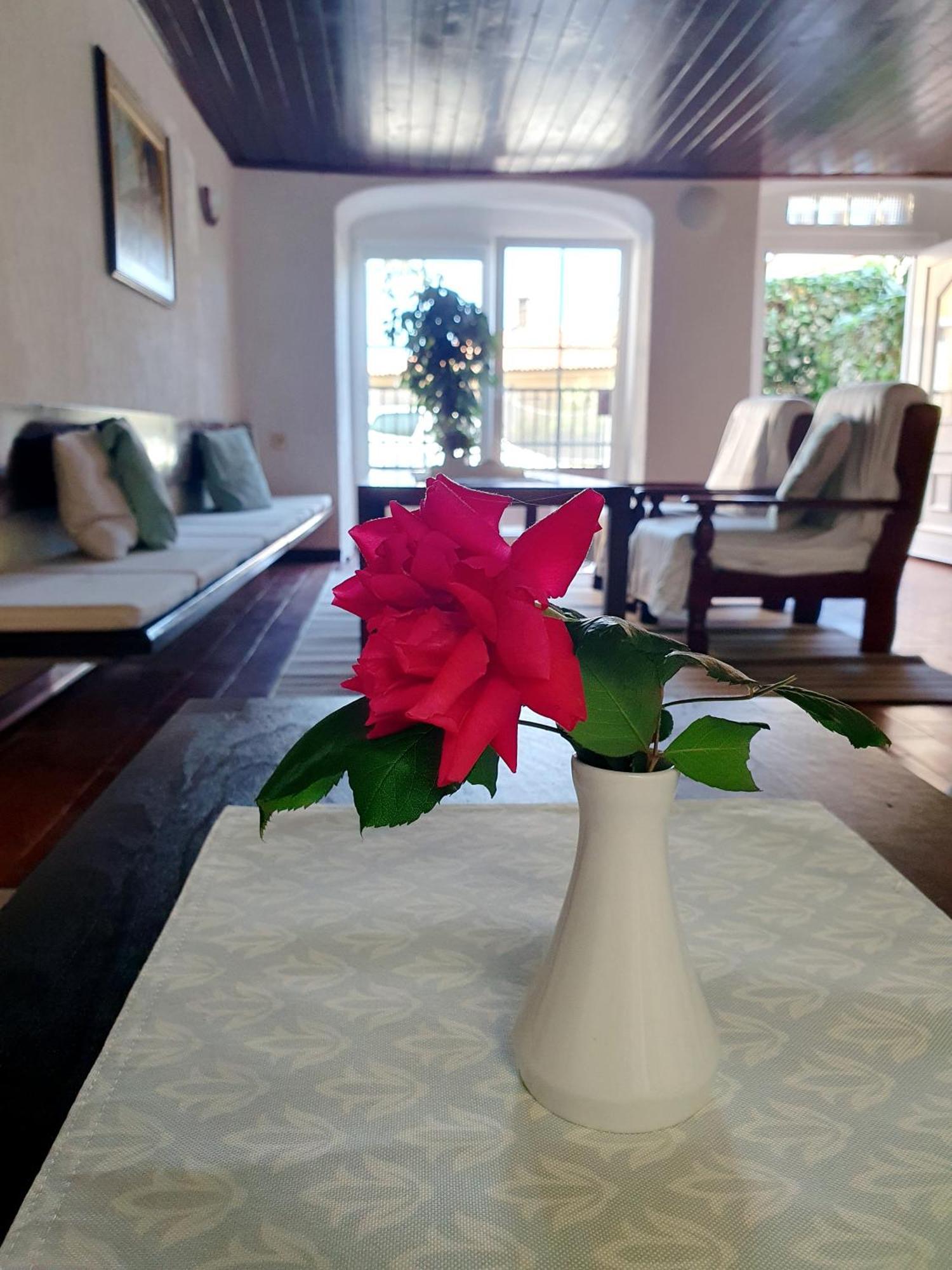 Holiday Home Dunja Opatija Bagian luar foto